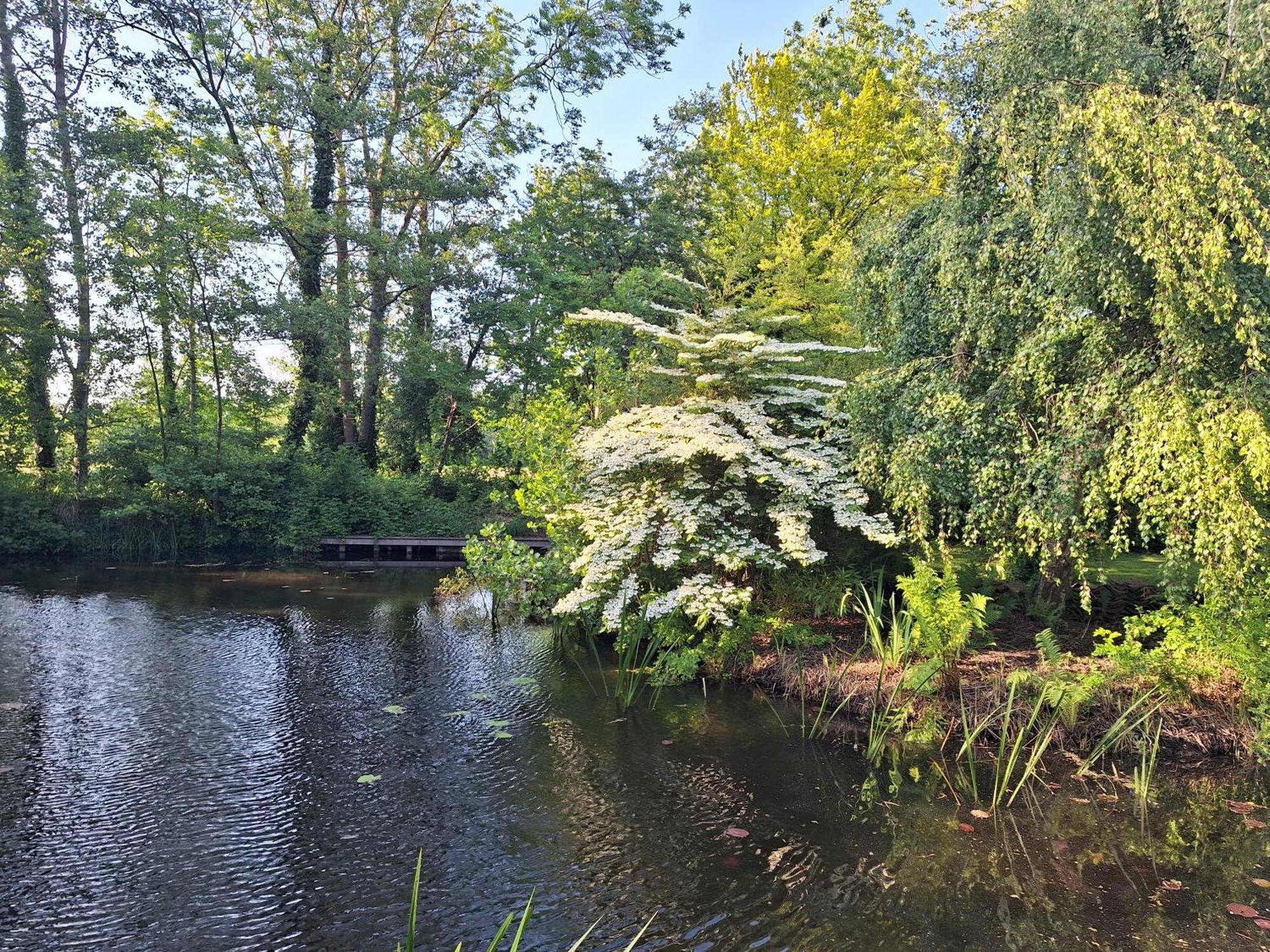 Vila De Consistorie Giethoorn Exteriér fotografie